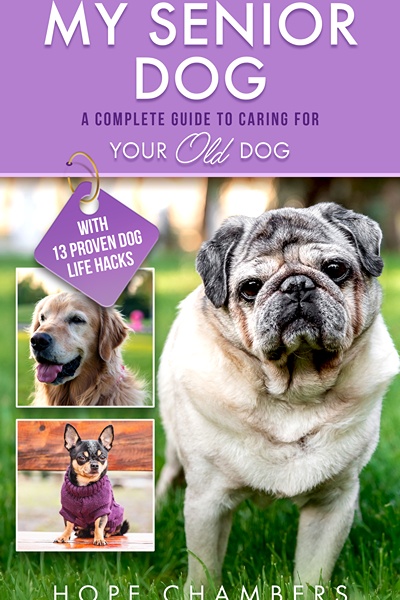 My Senior Dog: A Complete Guide To Caring For Your Old Dog